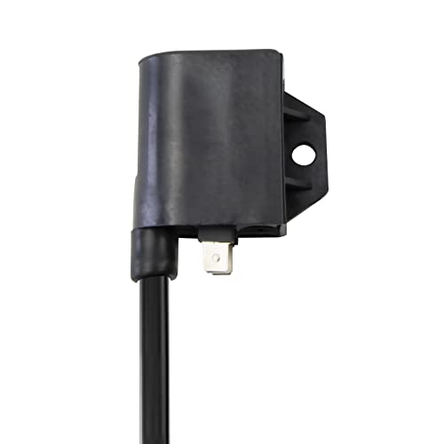 Ayiddue 3430-055 Ignition Coil and Spark Plug Apply to Arctic Cat 400 2003-2007 4x4