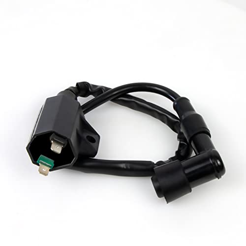 Ayiddue Starter Solenoid Relay Ignition Coil CDI Box For Kawasaki Bayou 220 KLF220A 1996-2002 Bayou 250 KLF250A 2003-2011 21119-1457 21121-1160 92070-1019 21160-1085 27010-1254