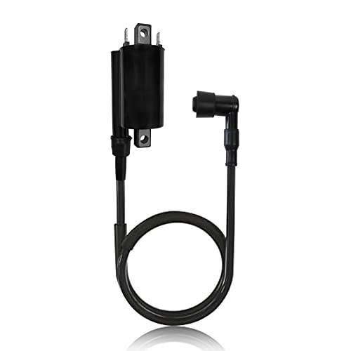 Ayiddue Igniter CDI Box Ignition Coil Spark Plug For Kawasaki Bayou 300 KLF300 KLF300B 1988-2004 KLF300C 1997-2004 21119-1369 21121-1049