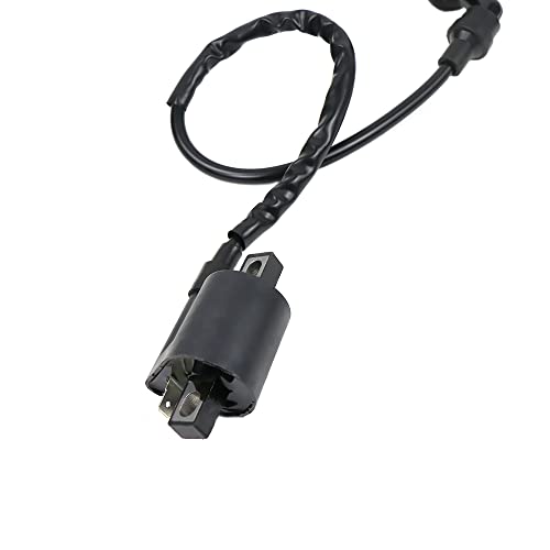 Ayiddue Ignition Coil Spark Plug for Yamaha Grizzly 660 YFM660 2002-2008 Raptor 660R YFM660 2001-2005 Rhino 660 YXR660 2004-2007 3YF-82370-00-00 5FU-82310-00-00 3KJ-82310-10-00