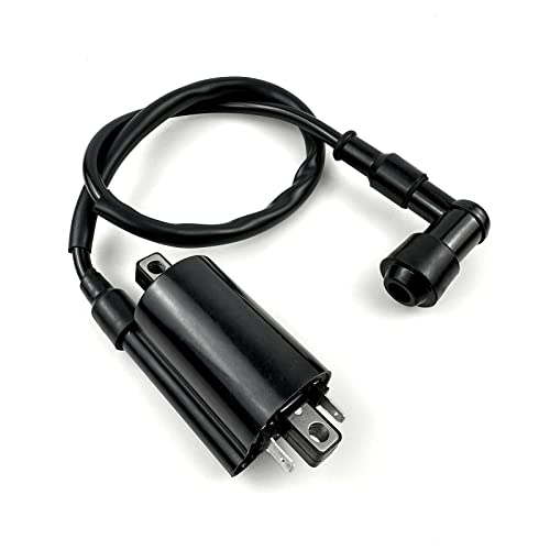 Ayiddue Igniter CDI Box Ignition Coil Spark Plug For Kawasaki Bayou 300 KLF300 KLF300B 1988-2004 KLF300C 1997-2004 21119-1369 21121-1049