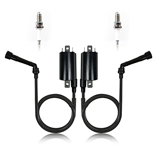 Ayiddue 2PCS Ignition Coil Spark Plug For Suzuki Intruder 700 VS700 1986-1987 Intruder 750 VS750 1988-1991 Intruder 800 VS800 1992-2004 33410-38A02