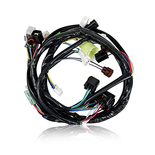 Ayiddue Wiring Wire Harness for Yamaha Raptor 660R YFM660 R 2002-2004 5LP-82590-10-00