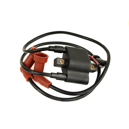 Ayiddue Ignition Coil Spark Plug For Polaris Sportsman 600 Twin 2004-2005 Sportsman 700 Twin 2004-2006 Sportsman 700 MV 2006 Sportsman MV7 2005 4010898 4010526